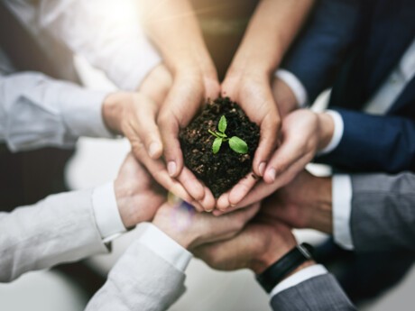 Sofinco s’engage auprès d’une start-up pour la reforestation  dans le Nord