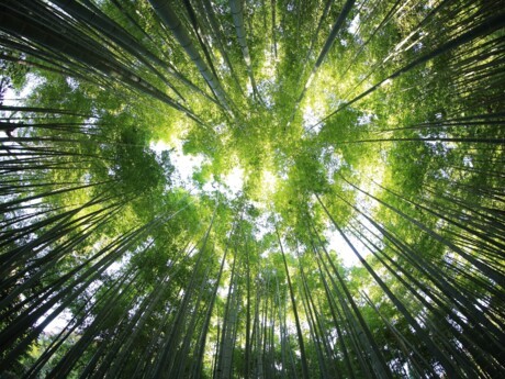 Finance Climat : Crédit Agricole S.A. va plus loin dans ses engagements