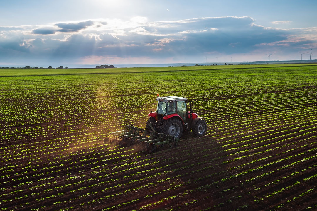 Agriculture biologique