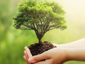 Amundi presents its new “ESG Plan 2025” and accelerates its transformation to support a fair environmental transition