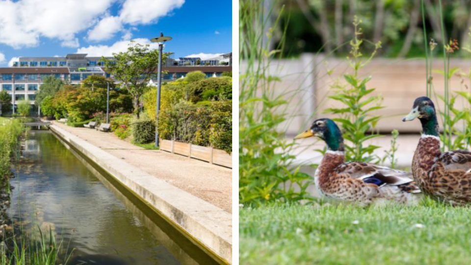 Conseil International Biodiversité & Immobilier (CIBI)  Plateforme de  l'Initiative Française pour les Entreprises et la Biodiversité