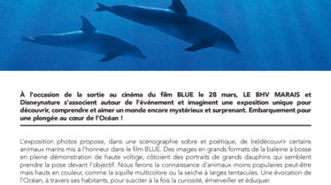 CP - BLUE - OBSERVATOIRE DU BHV MARAIS.pdf