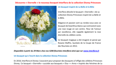 Découvrez le bouquet La Belle et La Bête.pdf
