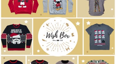 Newsletter - Pull de Noël