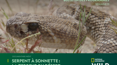 NATIONAL-GEOGRAPHIC-WILDS11.V2.pdf