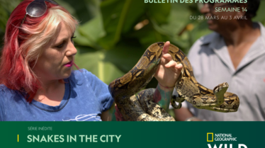 NATIONAL-GEOGRAPHIC-WILDS14.pdf