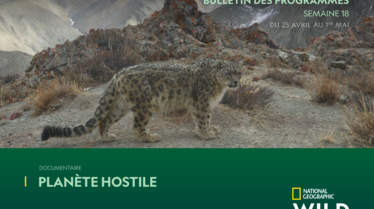 NATIONAL-GEOGRAPHIC-WILDS18.pdf