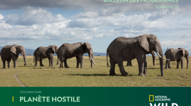 NATIONAL-GEOGRAPHIC-WILDS19.pdf