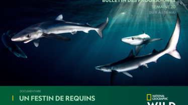 NATIONAL-GEOGRAPHIC-WILDS20.pdf