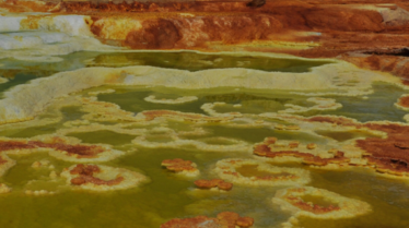 Temps forts juin 2020 - NGW.pdf