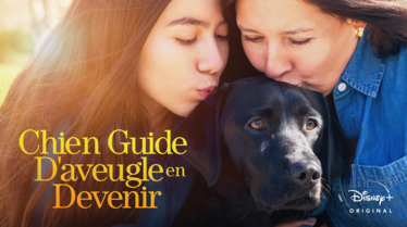 Disney+  : les chiens sont les meilleurs amis des hommes