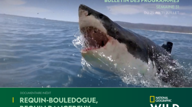 NATIONAL-GEOGRAPHIC-WILDS31.pdf