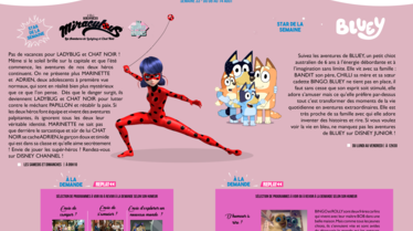 S33_Bulletin.png