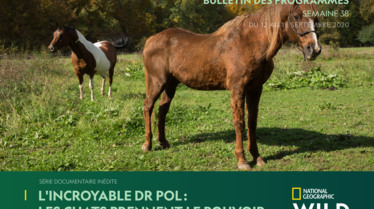 NATIONAL GEOGRAPHICWILD S38.pdf