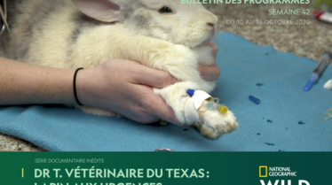 BULLETIN NATIONAL GEOGRAPHIC WILD s42.pdf