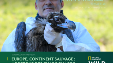 BULLETIN NATIONAL GEOGRAPHIC WILD S48.pdf