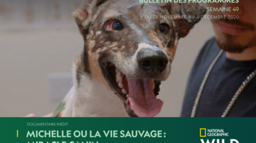 BULLETIN NATIONAL-GEOGRAPHIC-WILD_S49.pdf