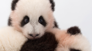 NGW temps forts -DEC 2020.pdf