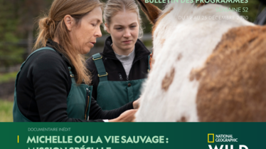 BULLETIN NGW S52.pdf