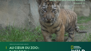 BULLETIN NATIONAL GEOGRAPHIC WILD s53.pdf