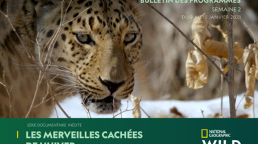 BULLETIN NATIONAL GEOGRAPHIC WILD S2.pdf