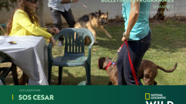 BULLETIN NATIONAL GEOGRAPHIC WILD S3.pdf