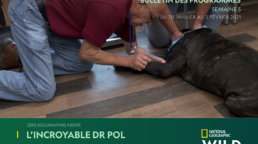 BULLETIN NATIONAL GEOGRAPHIC WILD S05.pdf