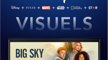 Visuels Bulletin Février 2021