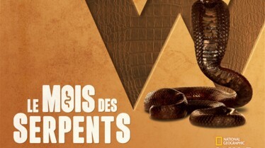 Le mois des serpents