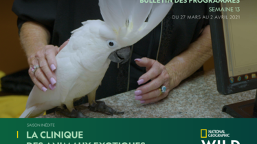 BULLETIN DE PROGRAMMES NATIONAL GEOGRAPHIC WILD S13.pdf