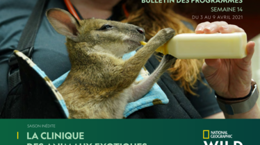Bulletin National Geographic Wild semaine 14.pdf