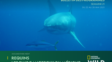 NATIONAL-GEOGRAPHIC-WILDS21.pdf.pdf