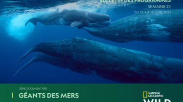 Bulletin Chaine National Geographic Wild Semaine 24.pdf