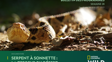 Bulletin National Geographic Wild S28