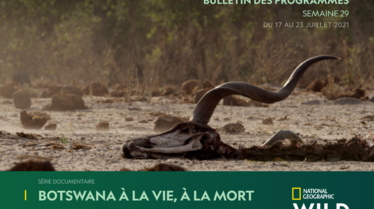 Bulletin National Geographic Wild S29.pdf
