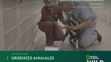S31 | Bulletin National Geographic WILD.pdf