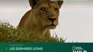 S32 - Bulletin National Geographic Wild