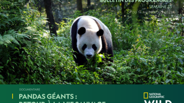 S33 - Bulletin National Geographic Wild.pdf