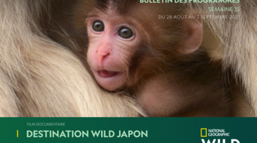 S35 - Bulletin National Geographic Wild