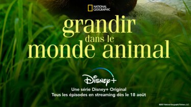 Grandir dans le monde animal