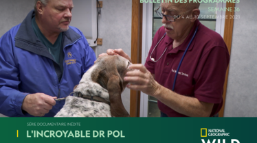 S36 | National Geographic Wild.pdf