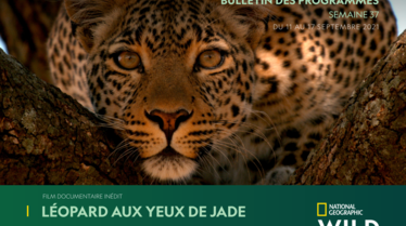 S37 - National Geographic Wild.pdf