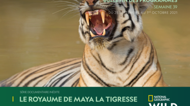 S39 - Bulletin National Geographic Wild