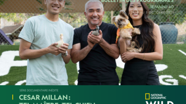 S40 - Bulletin National Geographic Wild.pdf