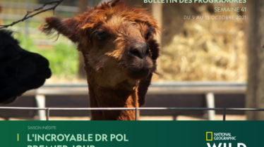 S42 | Bulletin National GeographIc Wild.pdf