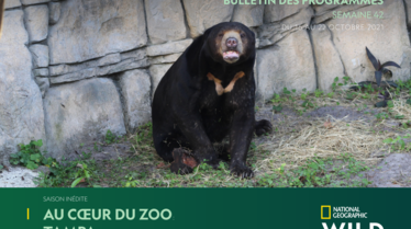 S42 - Bulletin National Geographic Wild