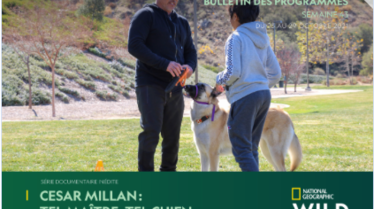 S43 - Bulletin NGW