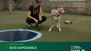 S48 - Bulletin National Geographic Wild.pdf