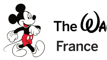 Logo Walt Disney France