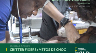 Bulletin National Geographic Wild Semaine 50.pdf